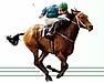 Astute Racing Service