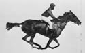 Final Furlong Stats, Tips and Graphs