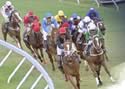 Horse Racing UK