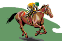 The Handicapper