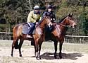 Rags To Riches Racing Partnership
