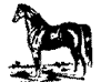 Shefford Bloodstock            Bloodstock