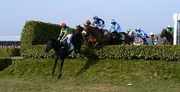 Cheltenham Cross Country