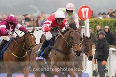 Coneygree