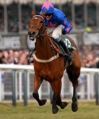 Cue Card 