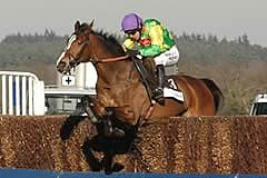 Kauto Star