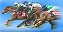 BetWealth Horse Racing Systems