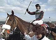 tony mccoy