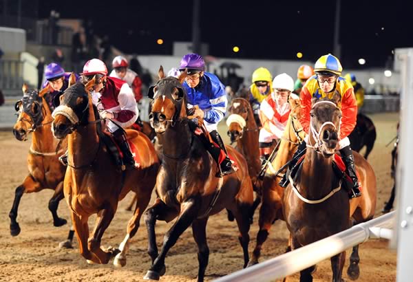 Dundalk Stadium