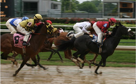 Horse Racing 