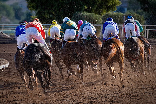 horse race