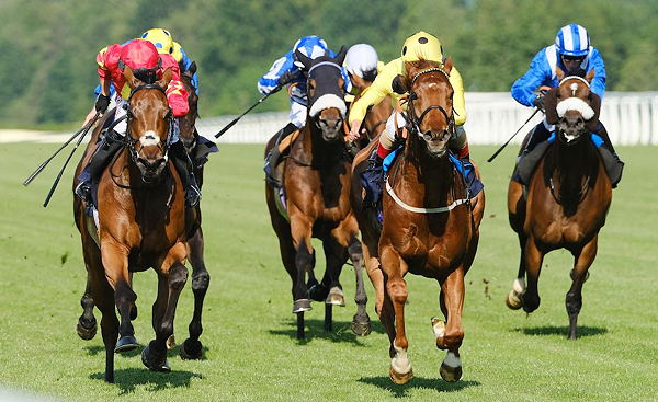 The History of Horse Racing