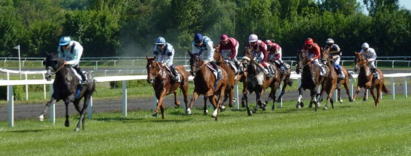 horse race