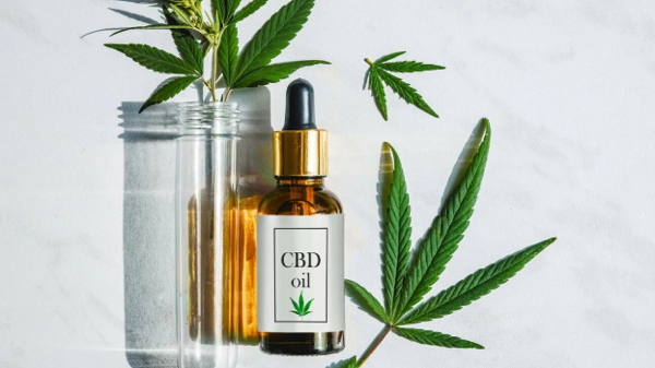 CBD Oil