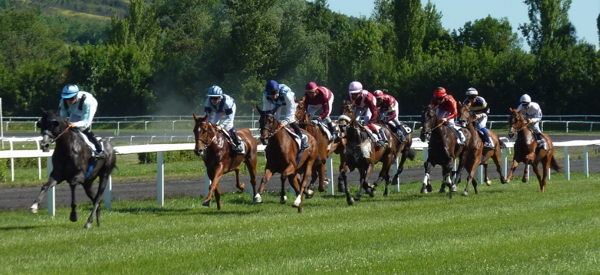 horse race