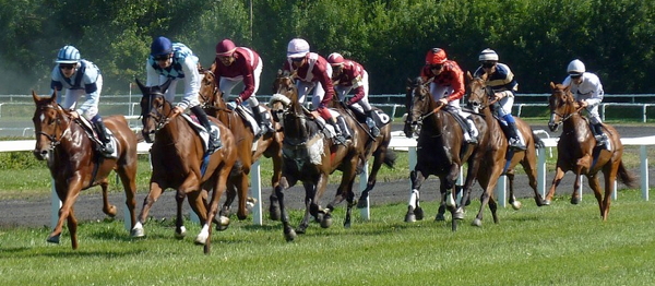 Horse race