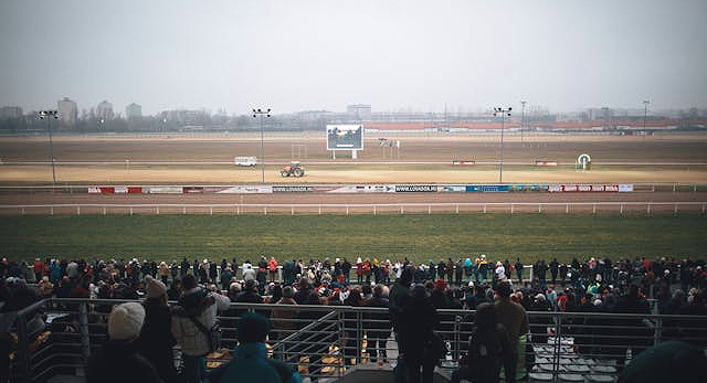 horse racing event