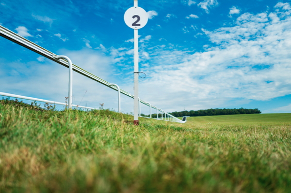 Horse Racing in Ireland