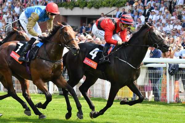 Horse Race
