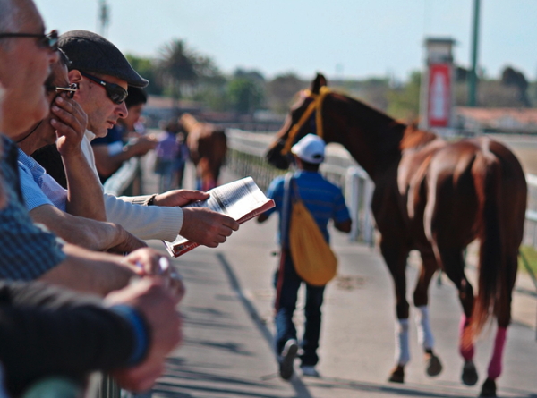 horse racing