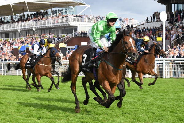 Betting the 2026 Kentucky Derby