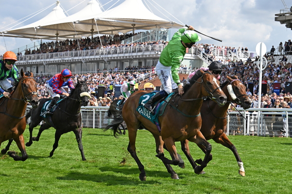 Overpriced and Underpriced Horses at Goodwood